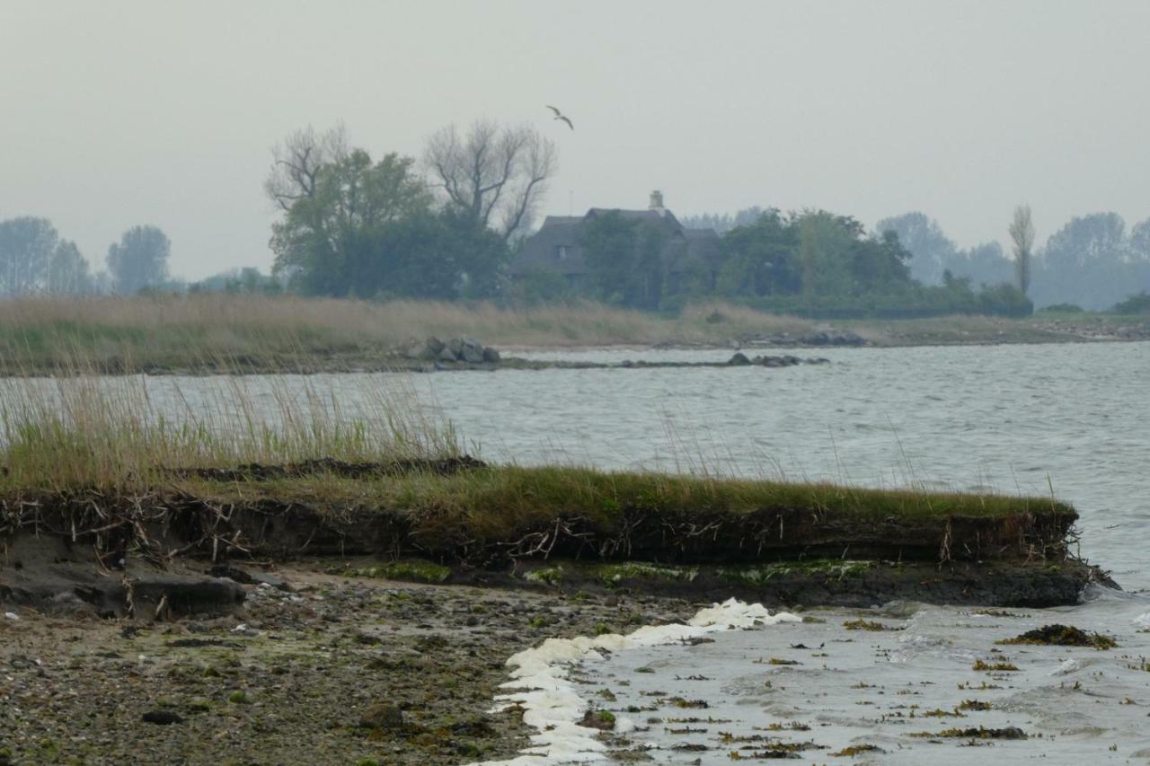 Ferienhaus-Lachmoewe Kappeln Bagian luar foto